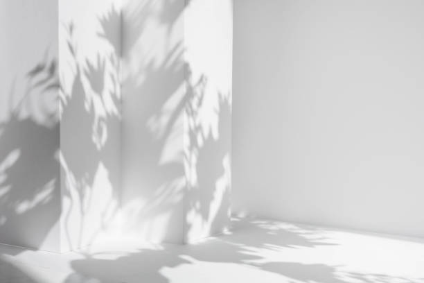 istock White table and abstract geometric wall background with flowers and palm leaves shadows overlay. Abstract gray studio background for product presentation. 3d room with copy space. Summer concept. 1322375359