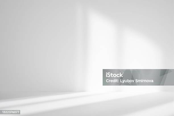 Abstract White Studio Background For Product Presentation Empty Room With Shadows Of Window Display Product With Blurred Backdrop Stock Photo - Download Image Now