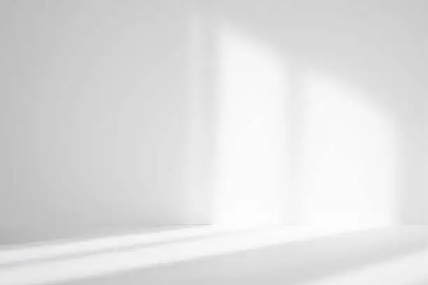 Photo of Abstract white studio background for product presentation. Empty room with shadows of window. Display product with blurred backdrop.
