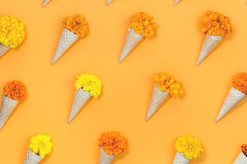 Orange and yellow flowers in waffle cones flat lay pattern on saffron yellow background. monochromatic gift or festive concept