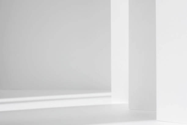 istock Abstract white studio background for product presentation. Empty gray room with shadows of window. Display product with blurred backdrop. 1322376606