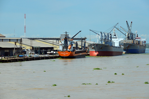 Treichville, Abidjan, Ivory Coast / Côte d'Ivoire: Autonomous Port of Abidjan - North Quay, Grain Terminal and Ébrié Lagoon - Breadbox Marlin (general cargo), Nimertis and Pacific Pamela (bulk carriers).