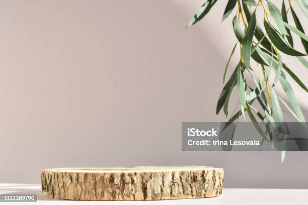 Podium For Product Presentation A Minimalistic Scene Of A Felled Tree With A Branch Of Greenery With Natural Shadows Stock Photo - Download Image Now