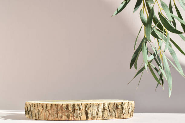podium for product presentation. a minimalistic scene of a felled tree with a branch of greenery with natural shadows. - man made material fotos imagens e fotografias de stock