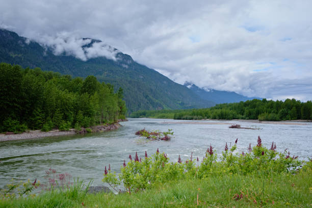 istock Rainy spring day on the Squamish River.  Canada's West Coast. 1322390830