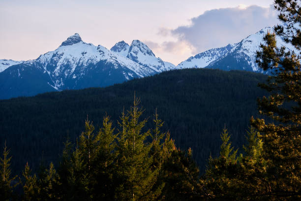 istock Tantalus Range and forest from Hwy 99 Lookout, Squamish, BC 1322390849