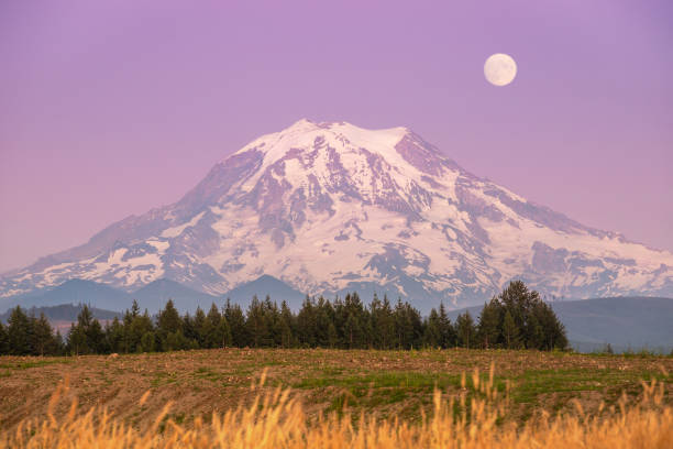 monte rainiero al atardecer con luna en cielo púrpura - monte rainier fotografías e imágenes de stock