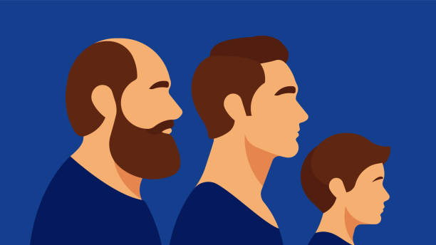 ilustrações de stock, clip art, desenhos animados e ícones de men generation. grandfather, father and grandson. abstract little boy, adult man, bald mature person. - silhouette teenager men little boys