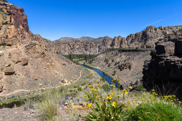 istock Smith rock yellow flowers river dry desert rocks oregon 1322403833