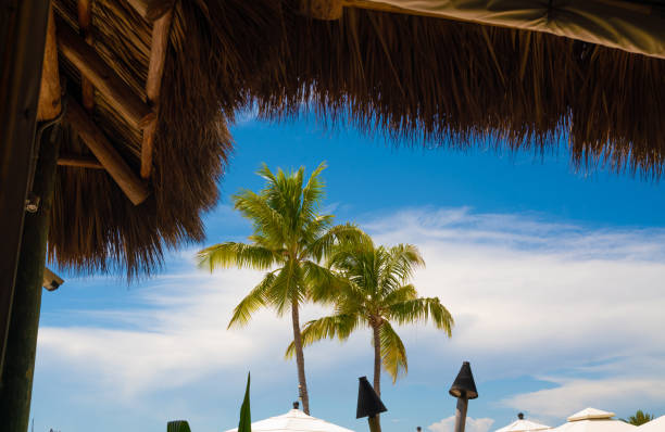 istock Palm trees and hut in Florida Keys 1322405121