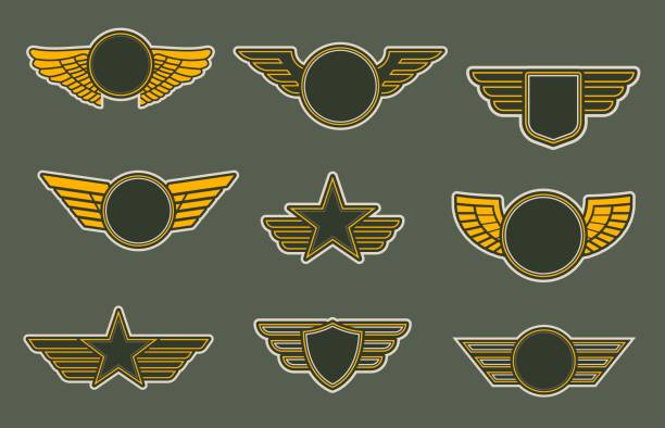 Army patches with wings, heraldic vector icons set Army patches with wings, heraldic icons, vector winged insignia or emblems. Air force of round, shield and star shapes isolated on khaki colored background. Retro badges for officers or soldiers patchwork stock illustrations