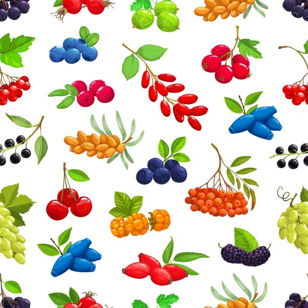 Garden, fores berries seamless pattern background Berries seamless pattern. Cartoon vector sea buckthorn, black chokeberry and cherry, hawthorn, bilberry and gooseberry, viburnum, barberry and honeysuckle, cloudberry and grapes, rowanberry, rosehip arrowwood stock illustrations