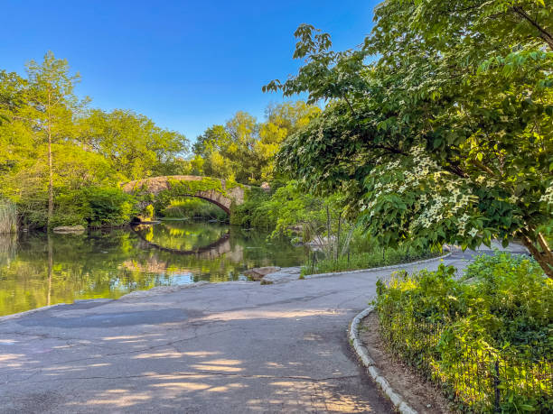 istock Gapstow Bridge in Central Park 1322406686