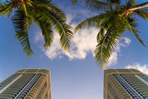 miami downtown