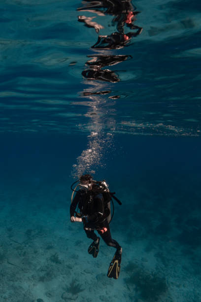 istock Scuba diving at the safety stop 1322411969