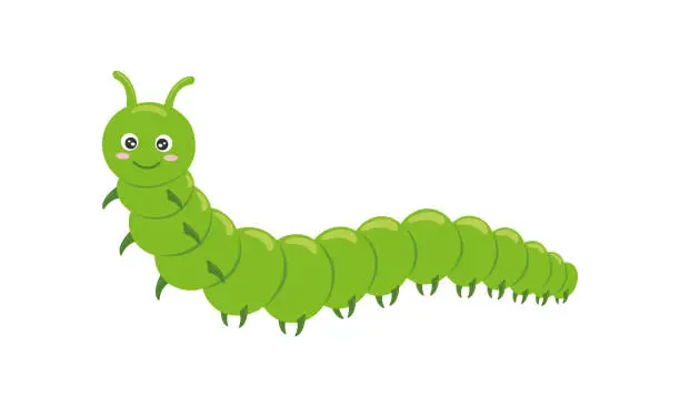 Vector illustration of Cute green caterpillar character isolated on white background. Funny insect for kids. Vector cartoon illustration