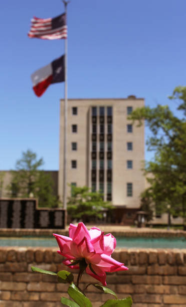 Pink Roses With Smith County Courthouse Tyler, TX in Background