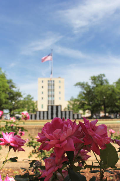 istock Pink Roses With Smith County Courthouse Tyler, TX in Background 1322417576