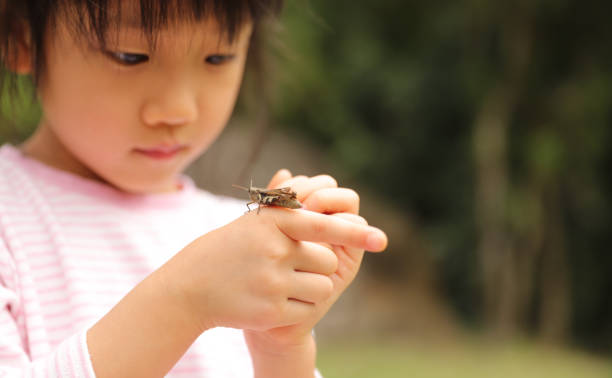 istock a grasshopper stay on a child's palm 1322424131