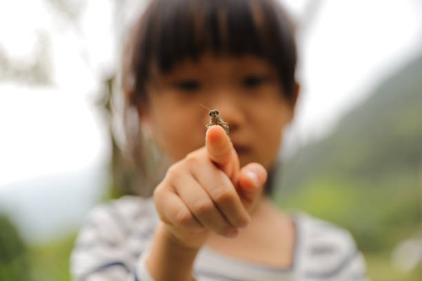 istock a grasshopper stay on a child's palm 1322424146