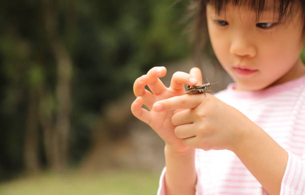istock a grasshopper stay on a child's palm 1322424154