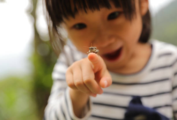 ein grashüpfer auf der handfläche eines kindes - insekt stock-fotos und bilder