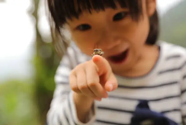 a grasshopper stay on a child's finger in a park