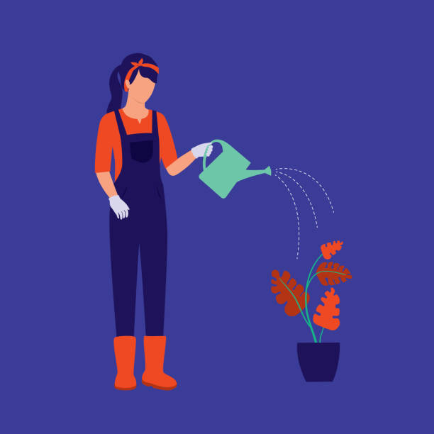 Female Gardener Watering Plant. Agriculture Occupation Concept. Vector Illustration Flat Cartoon. Woman Holding Watering Can. domestic staff stock illustrations