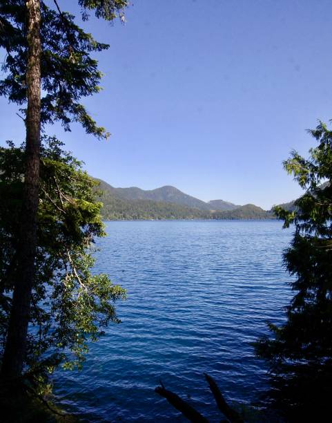 istock The Sparkling Clean Waters Of Lake Crescent 1322433038