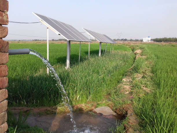 sonnenkollektoren, die wasserpumpe für die bewässerung und verteilung von wasser in landwirtschaftlichen reisfeld in westbengalen laufen können,indien - bewässerungsanlage fotos stock-fotos und bilder