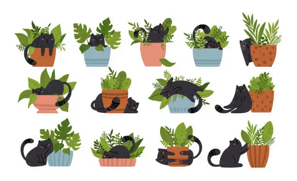 Vector illustration of Baby black cat and potted plants - kids isolated vector clip art set