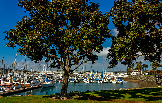 San Diego Marina, pleasure boats in the background.