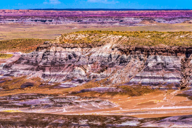 istock Painted Desert Blue Mesa Petrified Forest National Park Arizona 1322437162