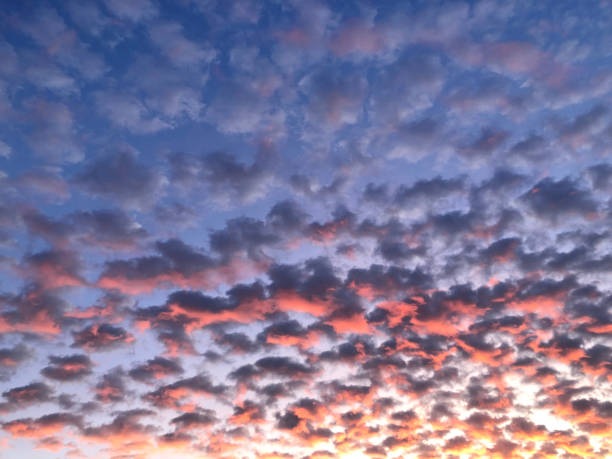 niebo o zachodzie słońca. mnóstwo chmur. - cirrocumulus zdjęcia i obrazy z banku zdjęć