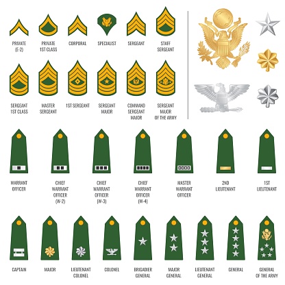 Military ranks shoulder badges, army soldier chevron straps, vector. Military rank heraldic grade badges and soldier uniform signs with golden stars and buttons of general, colonel and lieutenant