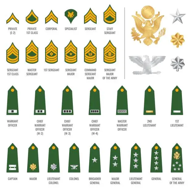 Vector illustration of Military ranks shoulder badge, army soldier straps