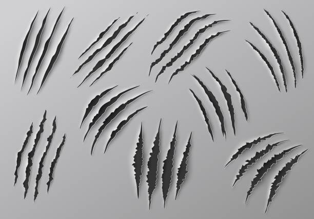 Claw marks, scratches, torn traces of animal paws Claw marks, scratches and torn traces of vector animal paw slashes. Monster claw marks of wild tiger, lion, cat or bear attacks, dinosaur or werewolf aggressive traces, Halloween or horror themes claw stock illustrations