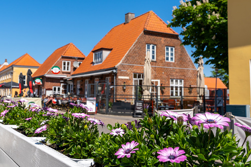 Skagen, Denmark - 4 June, 2021:selective focus of pretty flowers and the many restaurants and buildings on the main street of Skagen