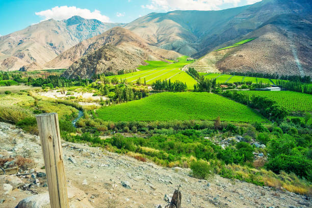 paysage de campagne et de désert dans la vallée d’elqui - valley photos et images de collection