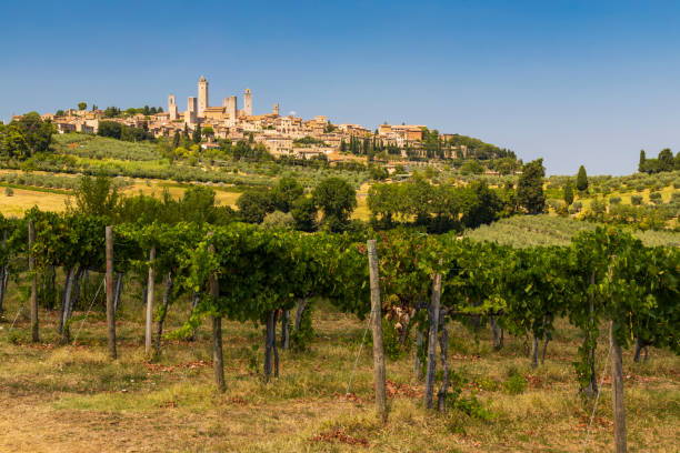 san gimignano, sito unesco, toscana, italia - san gimignano immagine foto e immagini stock