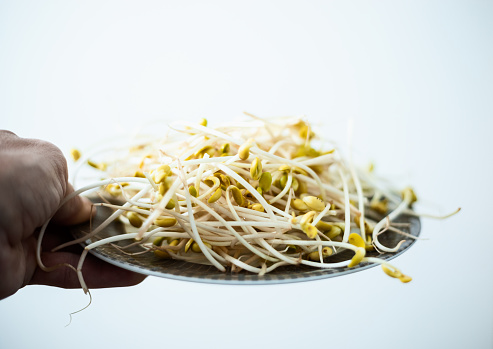 Fresh raw bean sprouts on plate, close up, selective focus