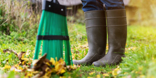istock Worker with broom sweeps lawn from fallen leaves in autumn season. 1322454811