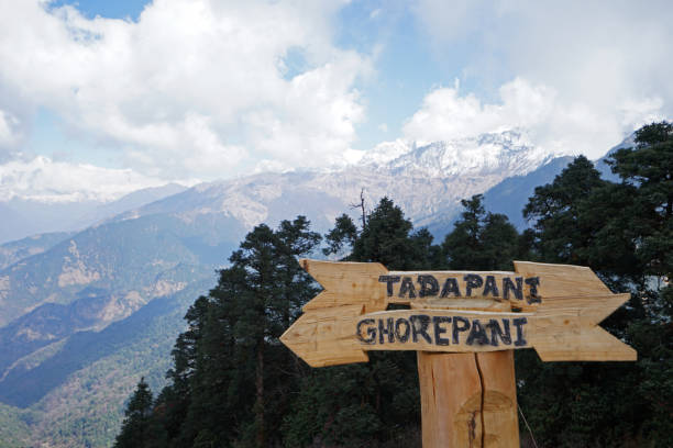 panneau directionnel en bois le long de tadapani et ghorepani - népal - direction arrow sign road sign escape photos et images de collection