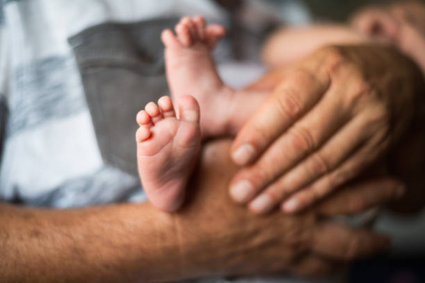 Baby feet in grandfather hands. Feet under the protection of the palms. Happy Family concept, conceptual image of maternity
