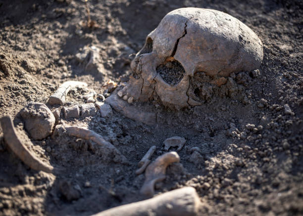 istock Unearthed human remains during archaeological excavation 1322454966