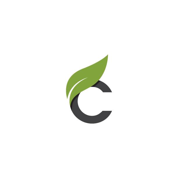 green leaf letter C Initial letter with green leaf leaf logo stock illustrations
