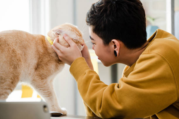 istock Young Asian female happily touching and looking at her cat 1322457148