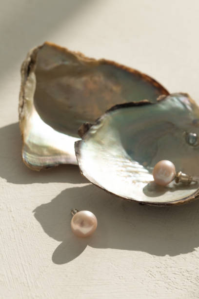 istock Pink pearl pieced earrings pair fine jewelry isolated. 1322458965