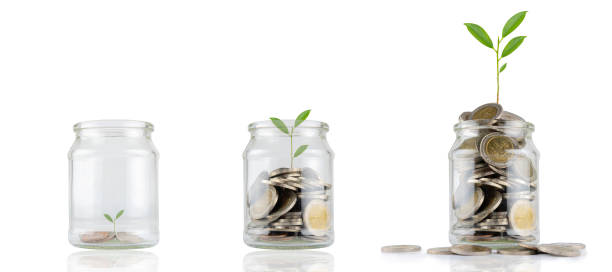 Jars with different levels of coins, with a seedling growing separately on white Jars with different levels of coins, with a seedling growing separately on white, coins in the glass, financial accounting ideas a penny saved stock pictures, royalty-free photos & images