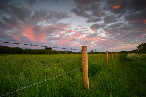 Beautiful Sunset in a meadow with a barbed wire fence in England